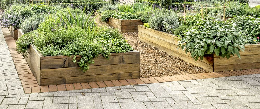 raised veggie and herb garden beds 