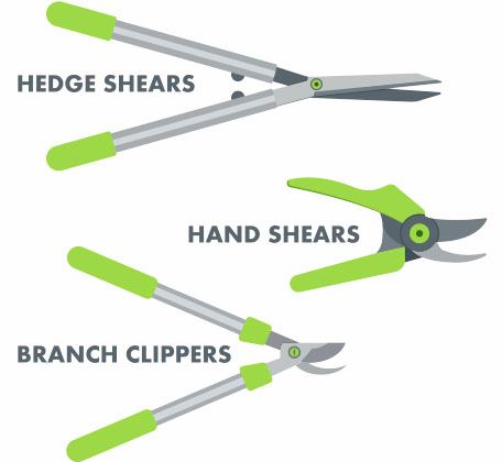 Salisbury Landscaping-Alberta-Spring Pruning for Alberta-types of shears