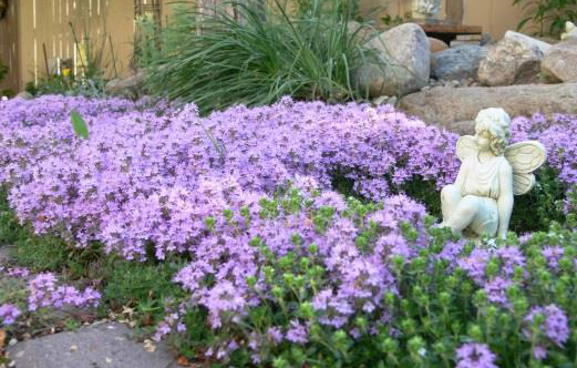 Ground covers