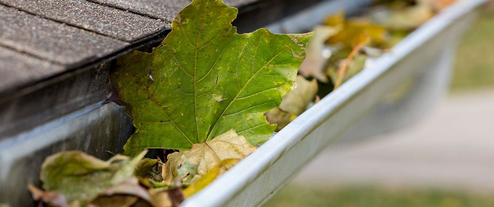 Salisbury Landscaping cleaning troughs on home