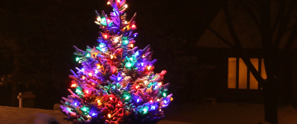 -Christmas lights outdoor tree Salisbury Landscaping