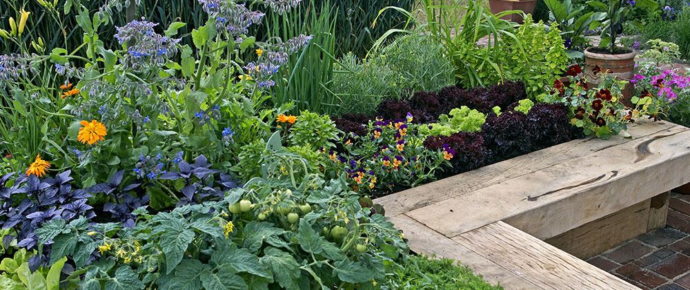 raised garden beds filled with edible plants