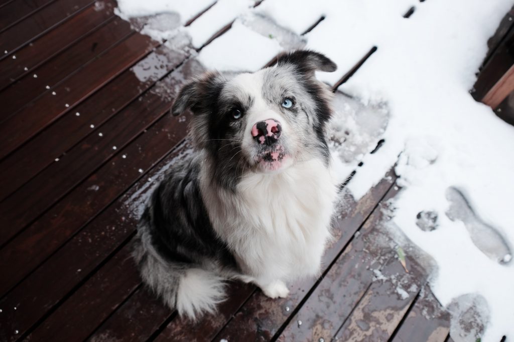 Salt Damage on your Decking