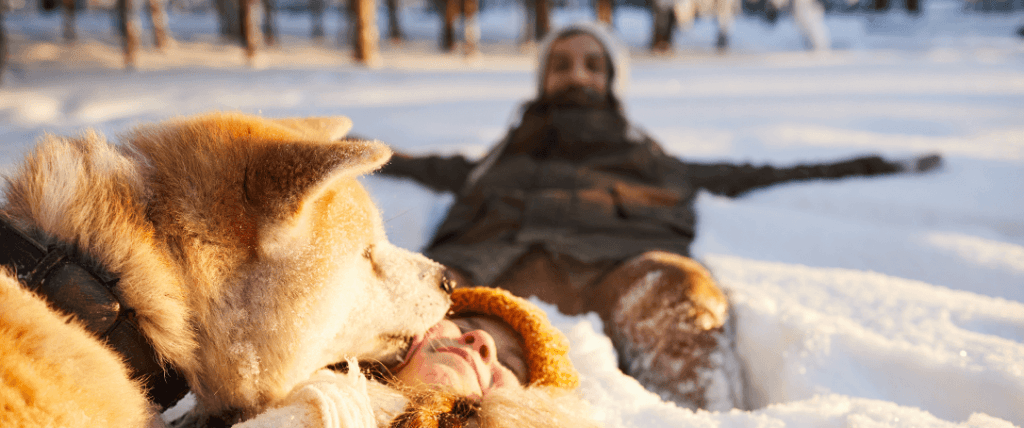 Family fun in the snow with the dog