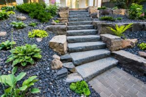 Alpine Woodland Garden