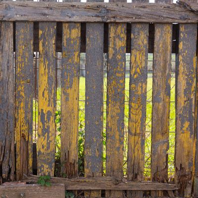 Salisbury Landscaping-Alberta-Common Unexpected Landscape Complications-old fence