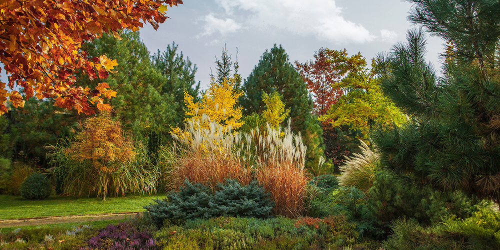 Salisbury Landscaping-Sherwood Park-Alberta-fall colours in landscape