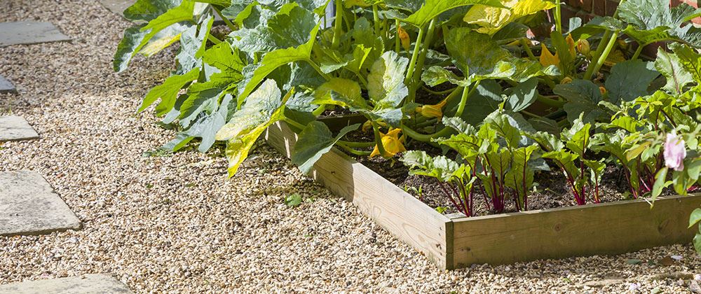 Salisbury Landscaping gravel around raised vegetable beds